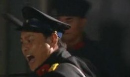 在线观看苍狼,探寻野性呼唤的生存传奇