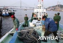 云南边境偷渡爆料视频,揭秘非法跨境流动的黑暗面