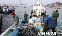 云南边境偷渡爆料视频,揭秘非法跨境流动的黑暗面