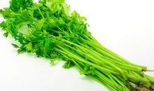 小芹菜爆料者视频大全,揭秘幕后真相