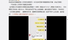 辛巴热点爆料视频,揭秘背后惊人真相！