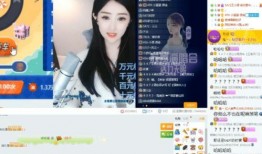 盈公主被爆料视频,真相与争议