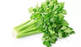 小芹菜爆料者视频大全,揭秘幕后真相