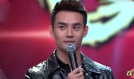 爆料王凯害羞视频全集,揭秘明星害羞视频全集幕后花絮