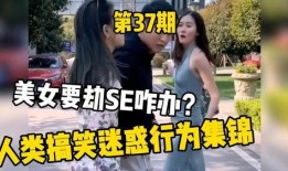 被爆料的美女视频大全免费观看,免费观看背后的真相