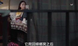 神秘人爆料视频大全集,揭秘不为人知的秘密世界