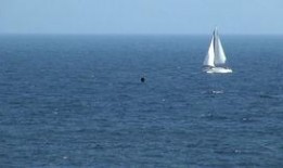 海洋最新爆料视频下载安装,最新海洋爆料视频深度解析