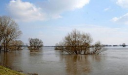 毕导被前女友爆料视频,揭秘娱乐圈背后的真相