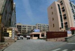 青岛十九中最新爆料,揭秘校园风云背后的故事