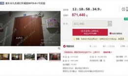 云法拍最新爆料,揭秘司法拍卖背后的秘密与机遇