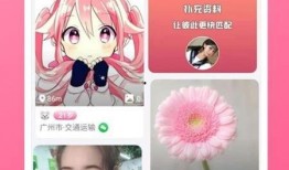 陨星爆料最新视频下载,神秘事件背后的惊人真相