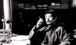 鲁迅最新爆料新闻视频大全,揭秘历史真相与时代风云