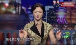 金星爆料酒店视频播放在线观看,揭秘娱乐圈不为人知的一面