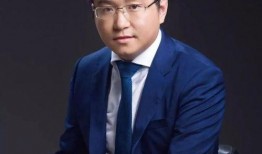 央视新闻爆料陈少杰,真相与影响深度解析