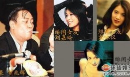绯闻女星爆料事件视频在线观看,揭秘娱乐圈惊人内幕