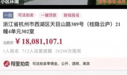 云法拍最新爆料,揭秘司法拍卖背后的秘密与机遇