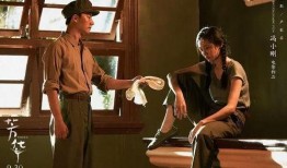 芳华tc在线观看,重温青春岁月，共赴时代芳华之旅