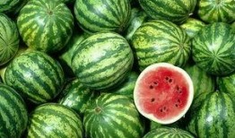 江浙沪网红吃瓜事件视频,揭秘网络热议背后的真相