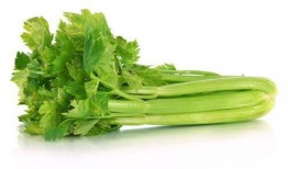 小芹菜爆料者视频大全,揭秘幕后真相