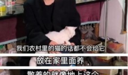 刘大锤爆料直播澄清视频,揭秘爆料真相