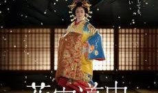 花宵道中在线观看,穿越时空的浪漫邂逅