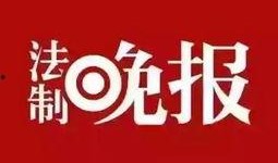 印度生活新闻最新爆料,最新爆料揭示惊人真相，民众热议不已！