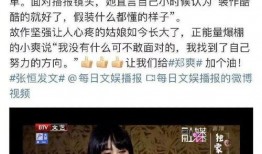 郑爽最新消息爆料视频,事件真相与情感纠葛全解析