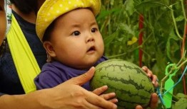 免费吃瓜群推荐,揭秘热门话题，畅享娱乐盛宴