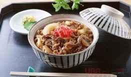 牛肉饭加盟店爆料视频,揭秘加盟背后的真相与利润