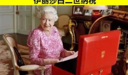 张家三少爆料事件真相视频,揭秘事件背后惊人内幕