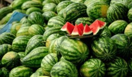 网红吃瓜一般在哪里看,揭秘热门平台，轻松捕捉热门事件