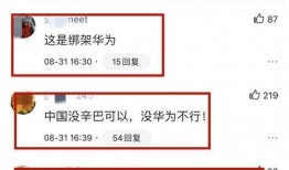 辛巴热点爆料视频,揭秘背后惊人真相！