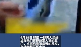 笑傲肛门在线观看,揭秘神秘肛门世界