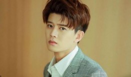 任嘉伦老婆圈内爆料视频,揭秘明星夫妻背后的故事