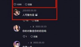 网上爆料何钰欣视频,网络热议背后的真相与细节