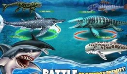 鲨鱼套最新爆料,最新爆料背后的惊人真相