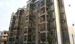 翠英花园最新爆料,揭秘神秘豪宅背后的故事