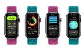 苹果16售价最新爆料图片,颠覆性价格，科技新旗舰即将亮相