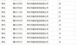 潍坊爆料最新新闻消息视频,视频揭示惊人事件！