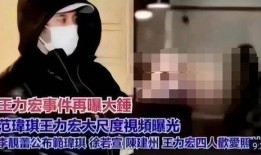 王力宏爆料范玮琪视频在线观看,揭秘背后惊人内幕