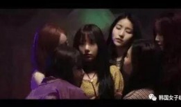 西藏客栈爆料事件视频完整版,揭秘背后真相与争议