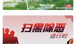 婚恋爆料新闻视频大全集,揭秘热门视频背后的情感真相