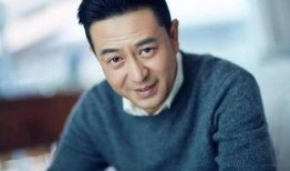 元芳爆料张嘉译视频全集,张嘉译视频全集揭秘，精彩瞬间一网打尽