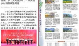 开平最新爆料新闻报道,揭秘事件背后惊人真相