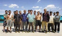 农民兄弟爆料视频播放下载,播放下载量惊人