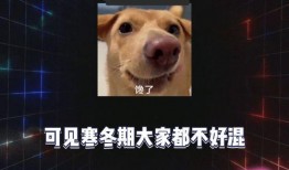 娱乐八卦吃瓜网站大全下载,一网打尽明星幕后故事