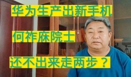 内鬼爆料打脸视频播放,打脸瞬间，真相大白！
