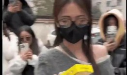 吃瓜爆料碰瓷视频,吃瓜爆料碰瓷视频背后的真相