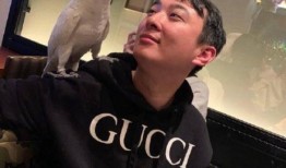 外国人看黑天鹅爆料视频,外国人视角下的震撼爆料视频深度解析