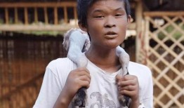 小马云爆料哥哥视频在线观看